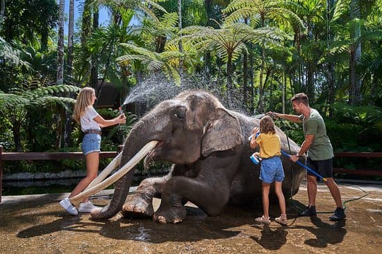 Mason Elephant Park and Lodge 