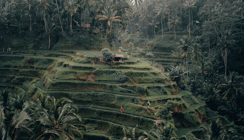 Photo spots in Ubud | Busy Contemporary Tourism on Social Media - Blogger Seindotravel